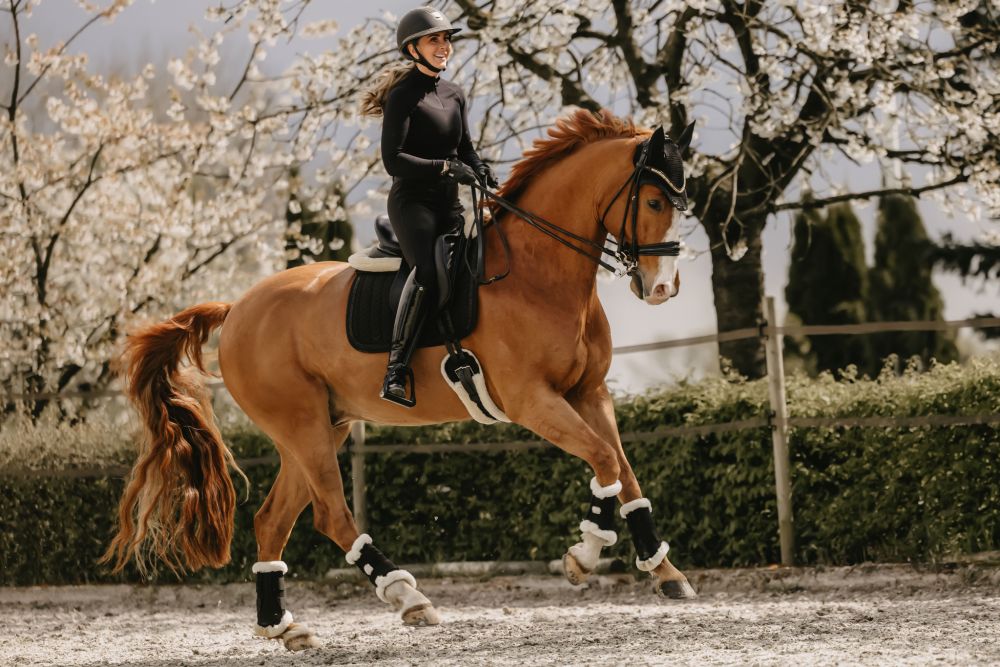 KENTUCKY® HORSEWEAR Arbeitsgamasche Air, schwarz 