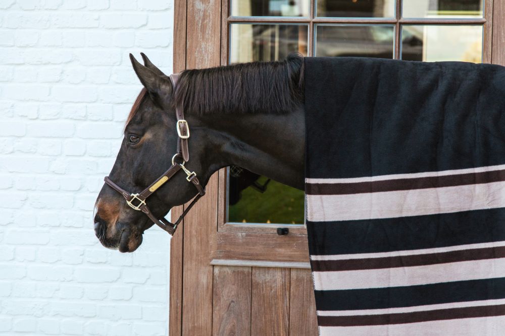 KENTUCKY® HORSEWEAR Fleecedecke Square Stripes Heavy, braun/beige
