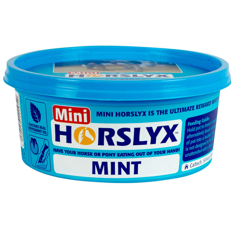 DERBY® HORSLYX MINT