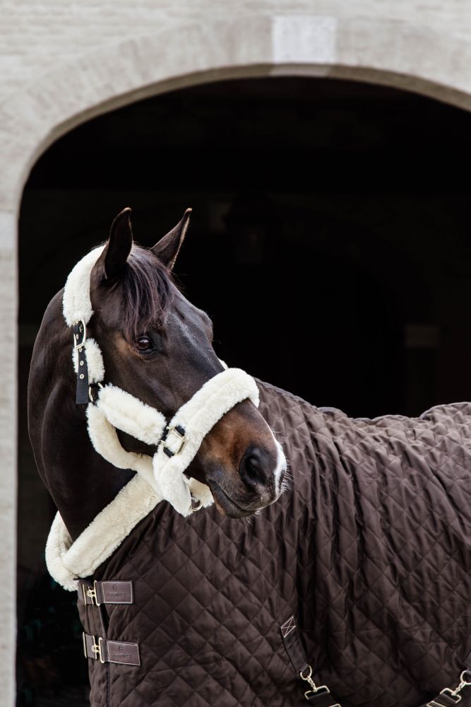 KENTUCKY® HORSEWEAR Turnierdecke, braun
