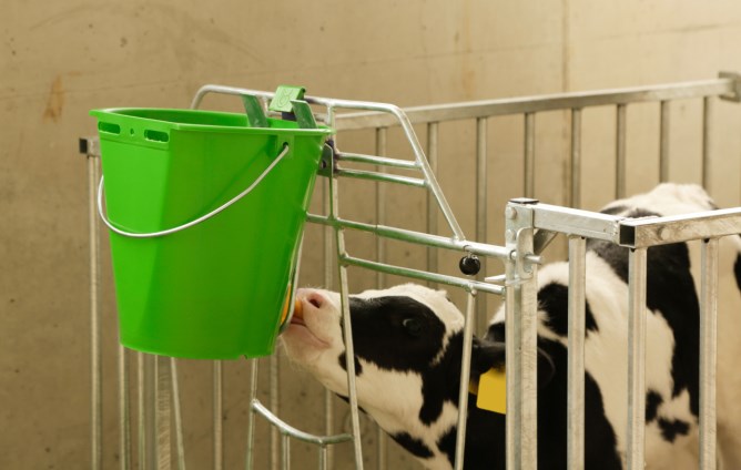 KERBL Auswurfsicherung Bucket Guard