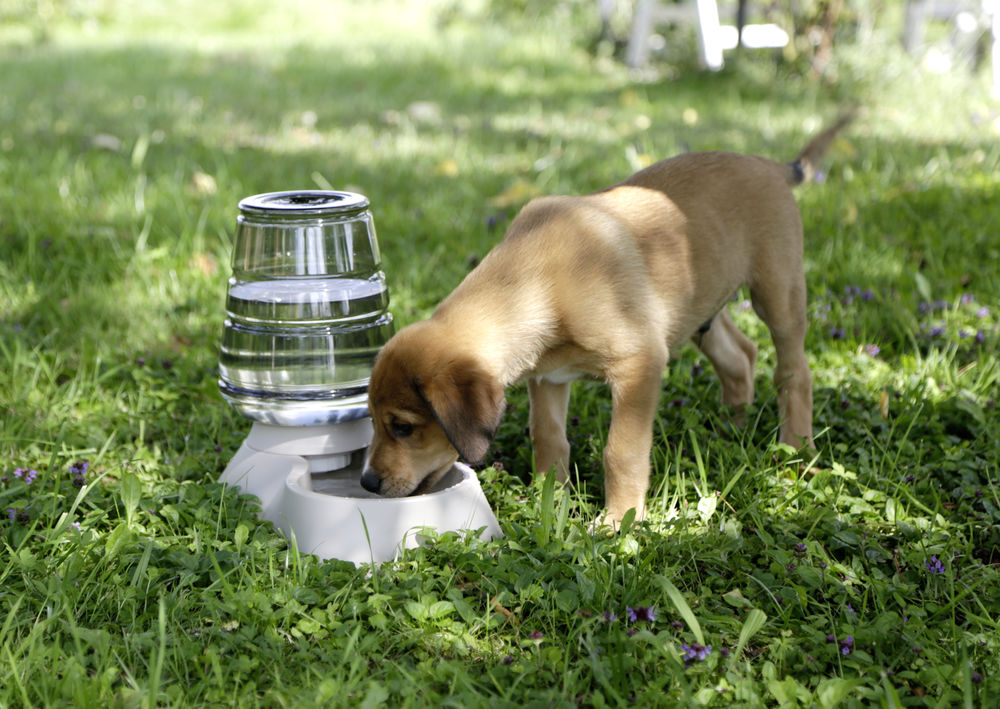 Wasserspender Nuvola
