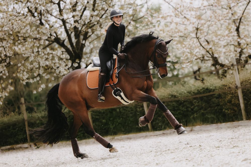 KENTUCKY® HORSEWEAR Schabracke Classic Leder Dressur, orange