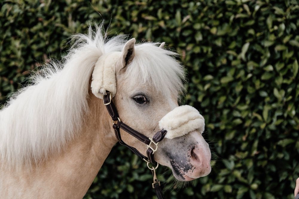KENTUCKY® HORSEWEAR Pony-Lederhalfter mit Schaffell