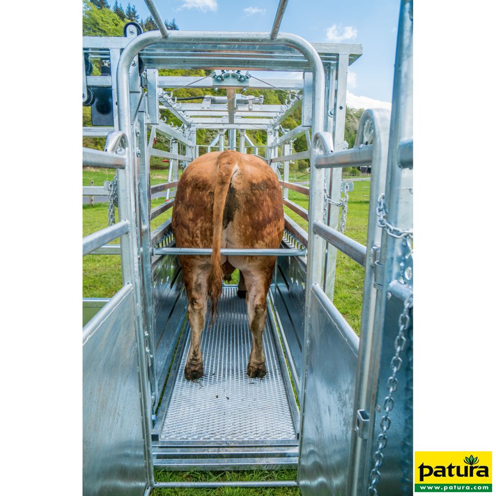PATURA Behandlungsstand A 8000