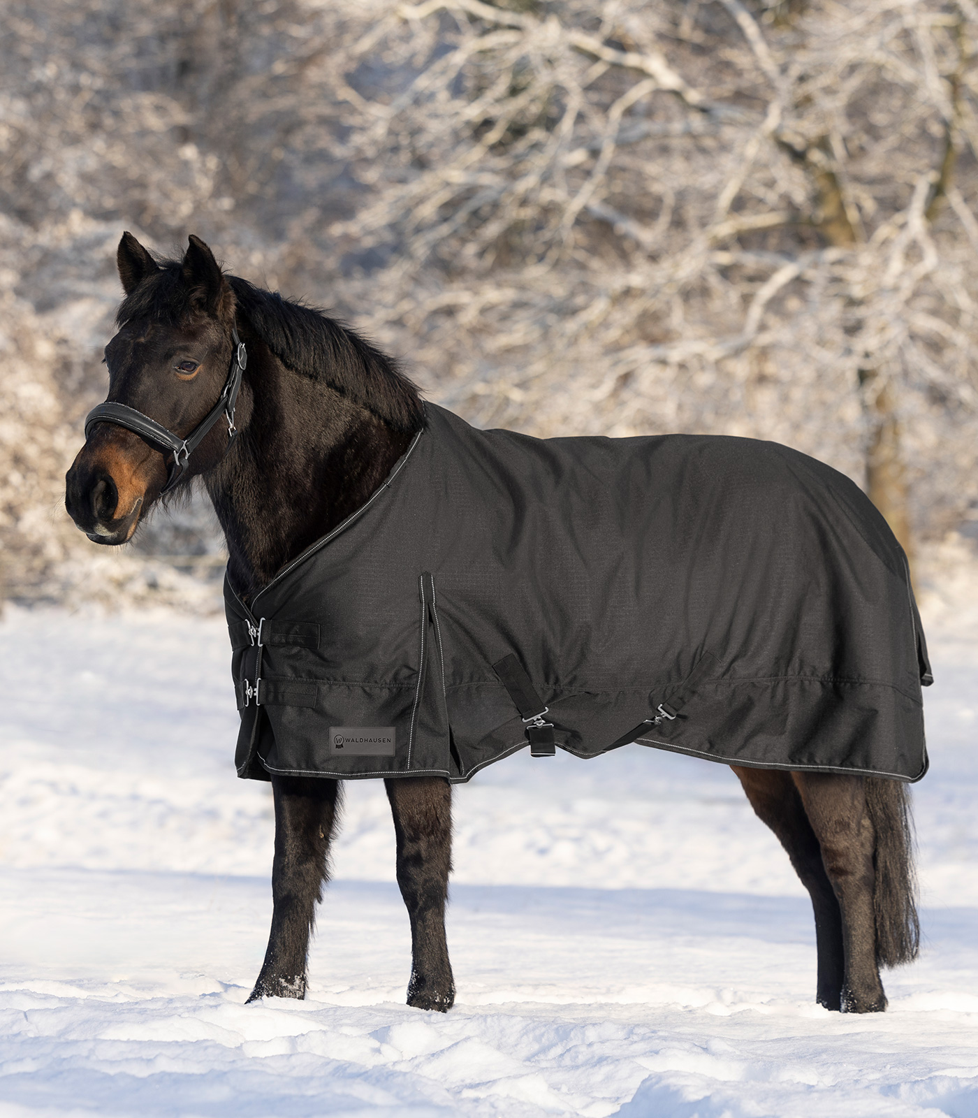 WALDHAUSEN NORDIC Outdoordecke, Light, schwarz