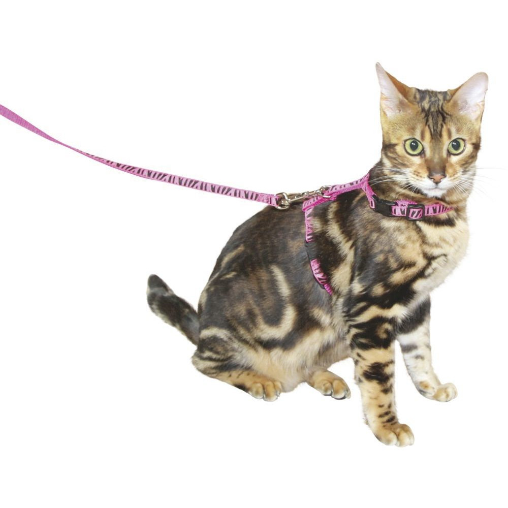 Katzengeschirr mit Leine