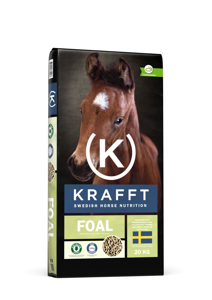 KRAFFT FOAL