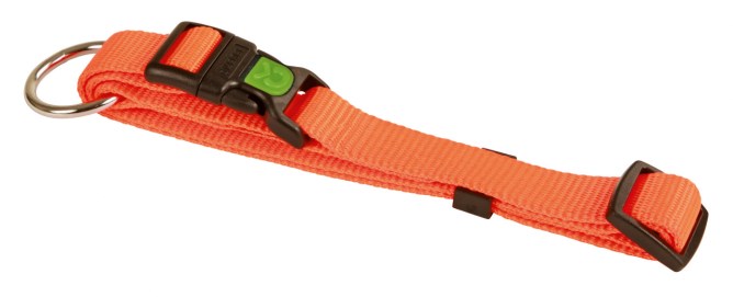 KERBL MIAMI Halsband, orange, verstellbar