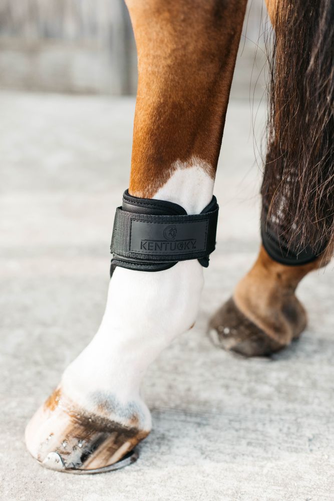KENTUCKY® HORSEWEAR Streichkappe Young Horse, schwarz