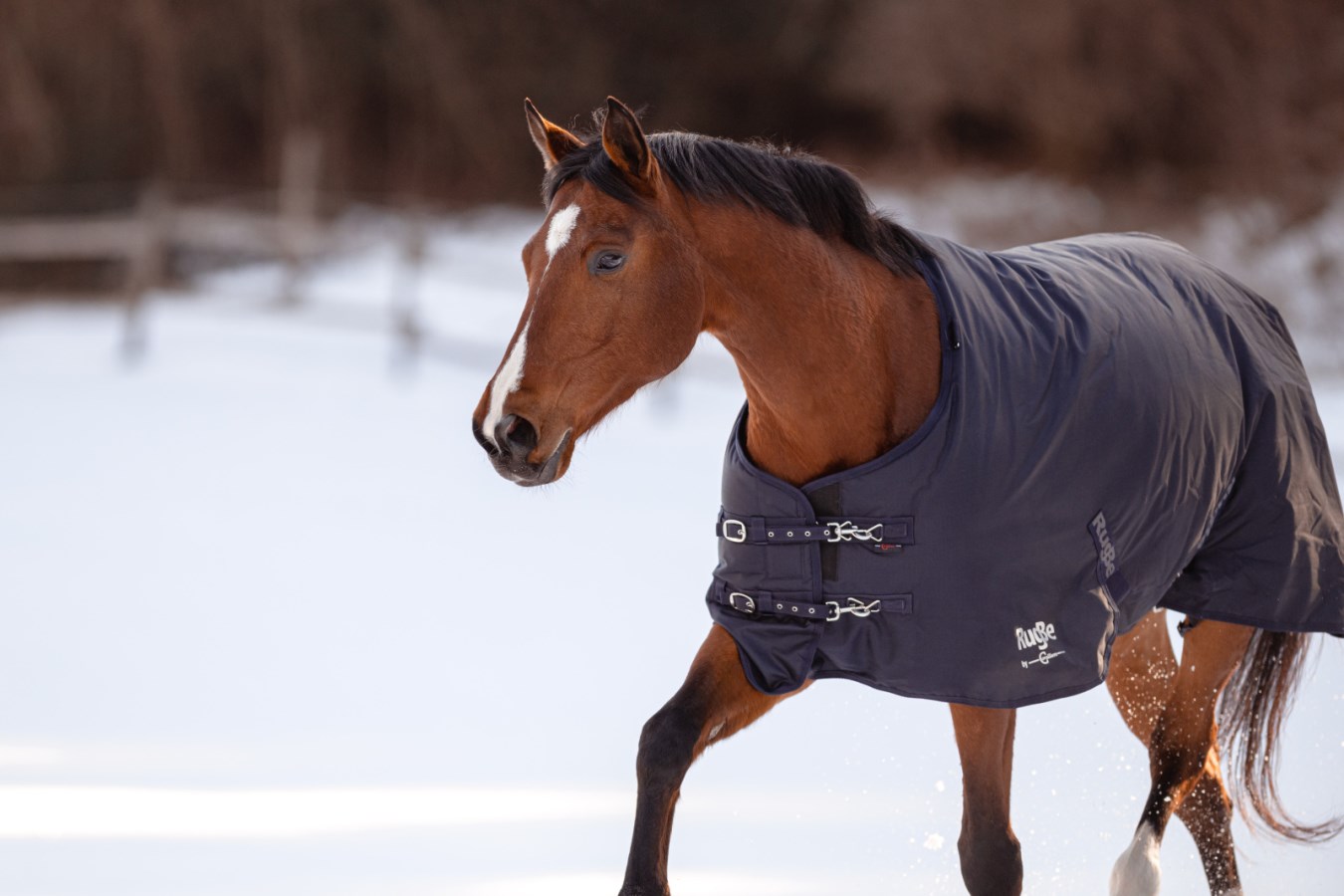 KERBL RugBe Winterdecke IceProtect 300 g