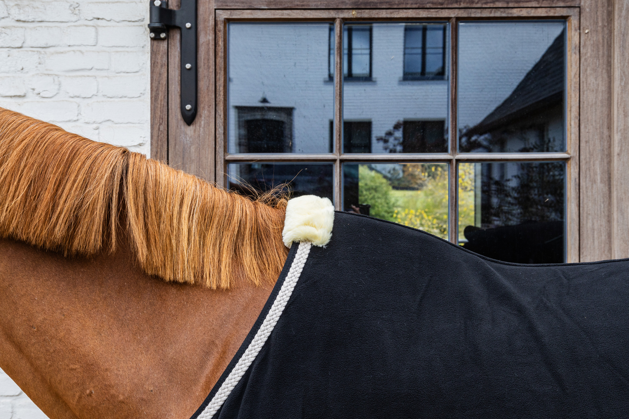 KENTUCKY® HORSEWEAR Abschwitzdecke Fleece geflochtene Kordel, schwarz Schwarze Abschwitzdecke aus Fleece mit geflochtener Kordel in Weiß und weicher Widerristpolsterung auf einem Pferd.