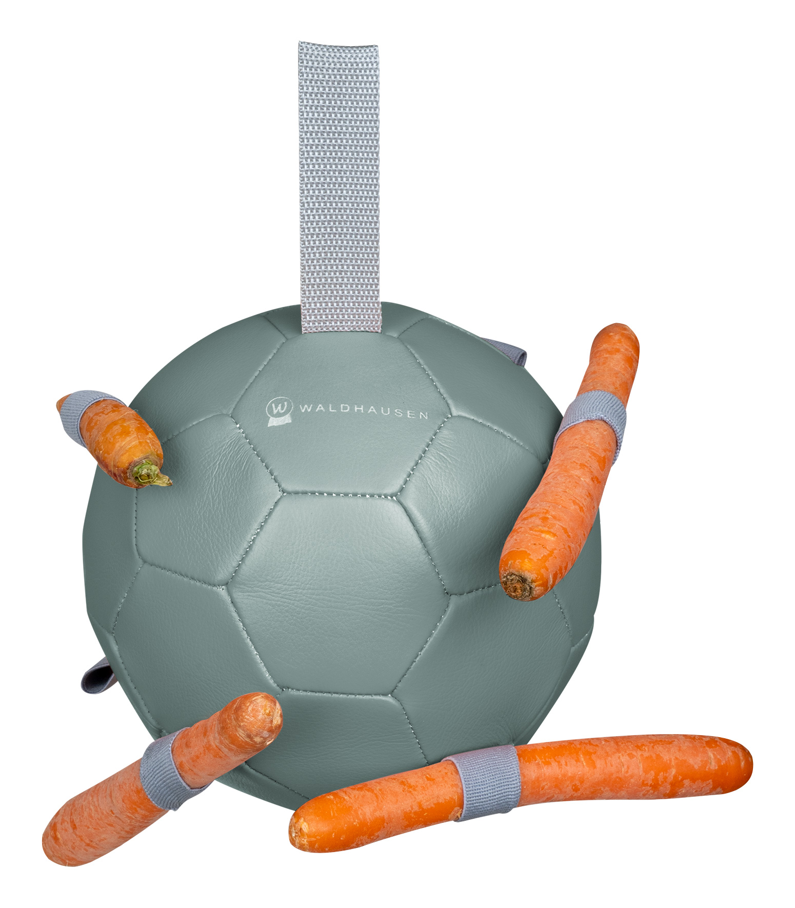 WALDHAUSEN Karottenball