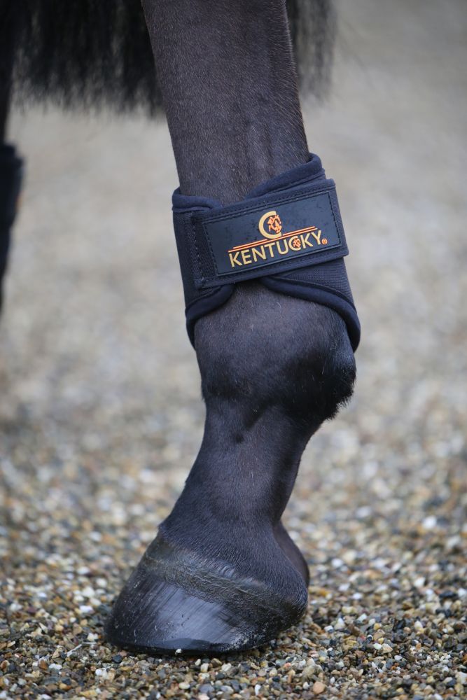 KENTUCKY® HORSEWEAR Arbeitsgamasche 3D Spacer hinten, schwarz