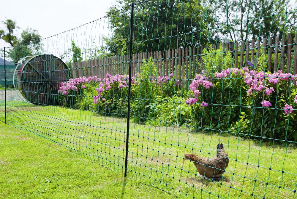 AKO Geflügelnetz PoultryNet, grün, Höhe: 106 cm, nicht elektrifizierbar