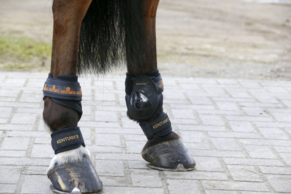 KENTUCKY® HORSEWEAR Fesselschutz