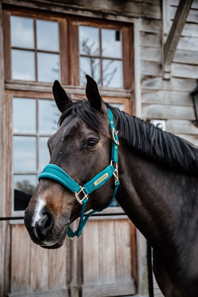 KENTUCKY® HORSEWEAR Velvet Halfter, smaragdgrün