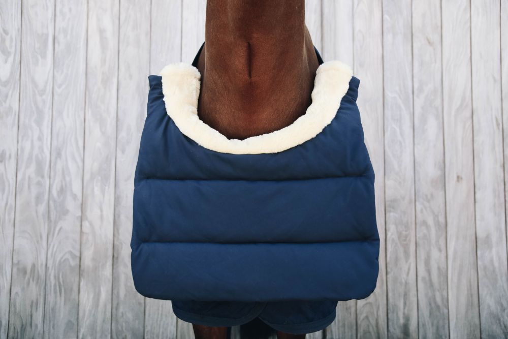 KENTUCKY® HORSEWEAR Horse BIB Winter, marine