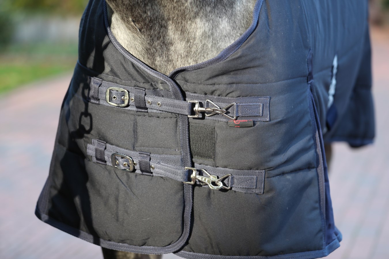 Nahaufnahme des doppelten Brustverschlusses der dunkelblauen Kerbl Stalldecke RugBe mit Schnallen am Pferd.