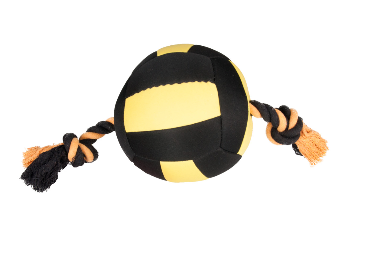 Action Ball Aquaball