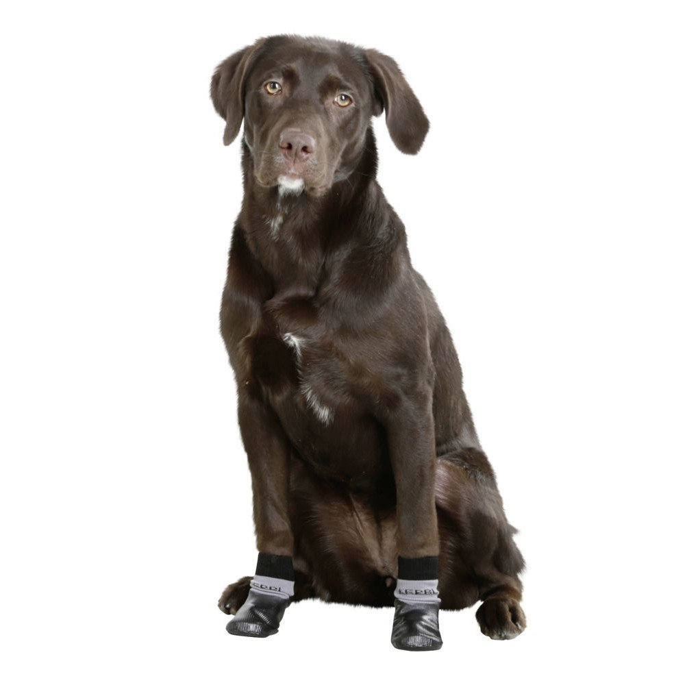 Hundesocke Susi