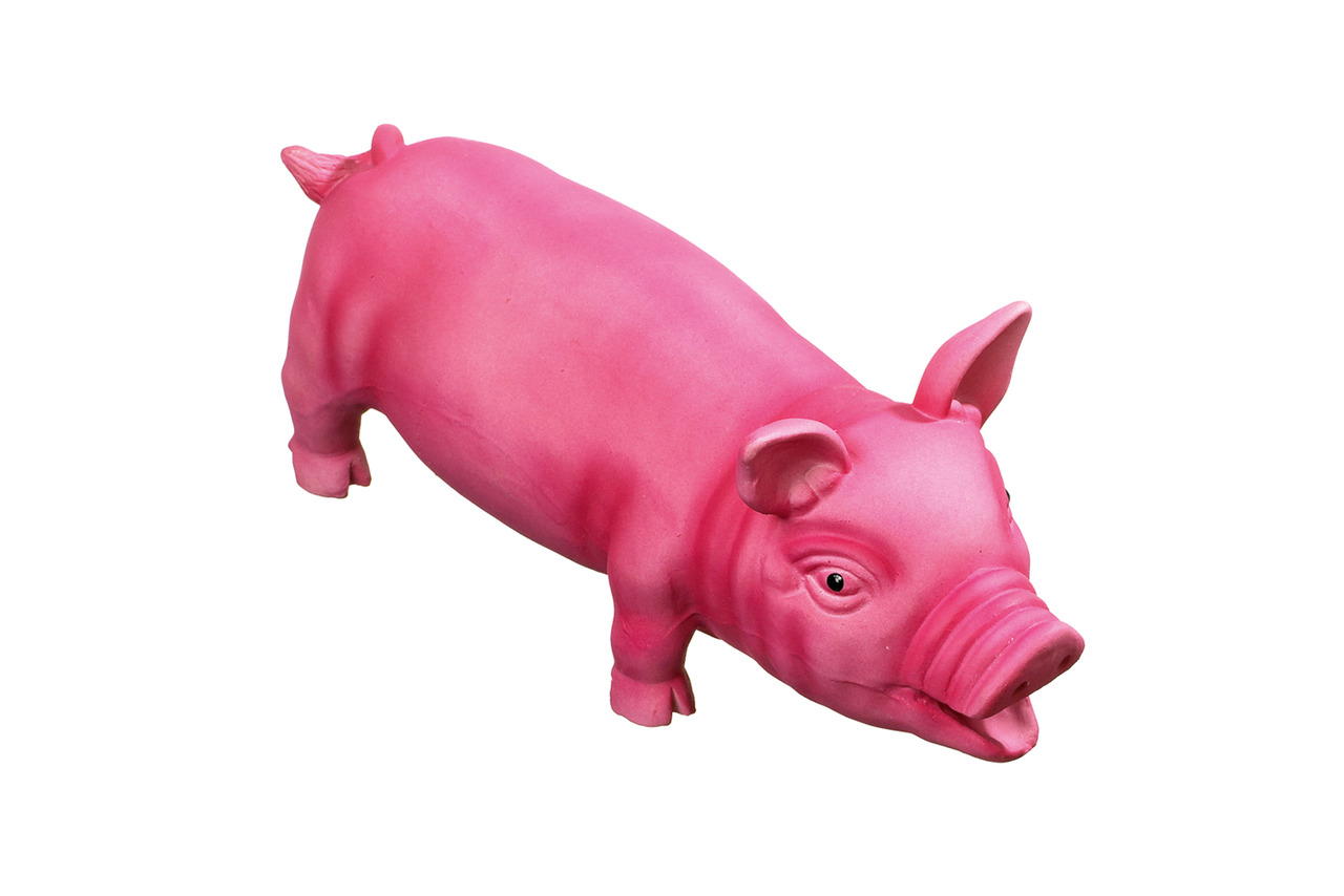 Latexschwein Peky