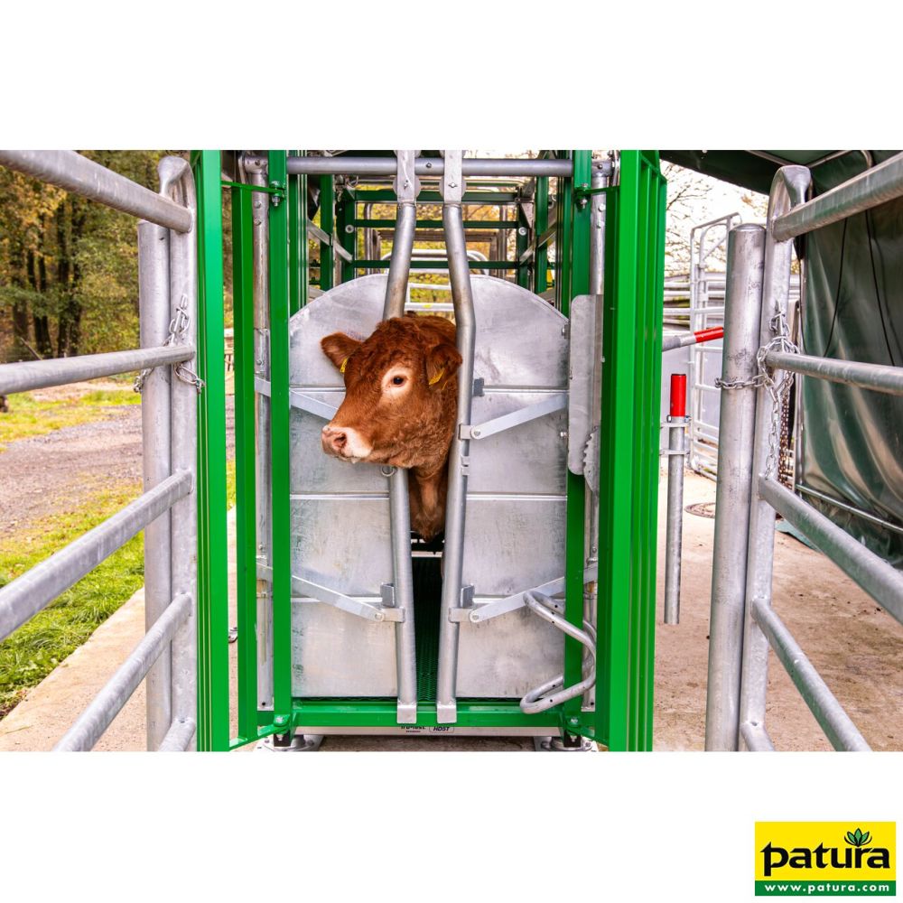 PATURA Behandlungsstand A 6000 