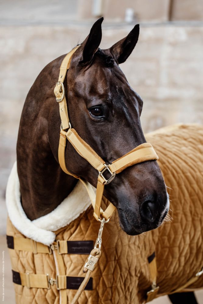 KENTUCKY® HORSEWEAR Velvet Halfter, senfgelb