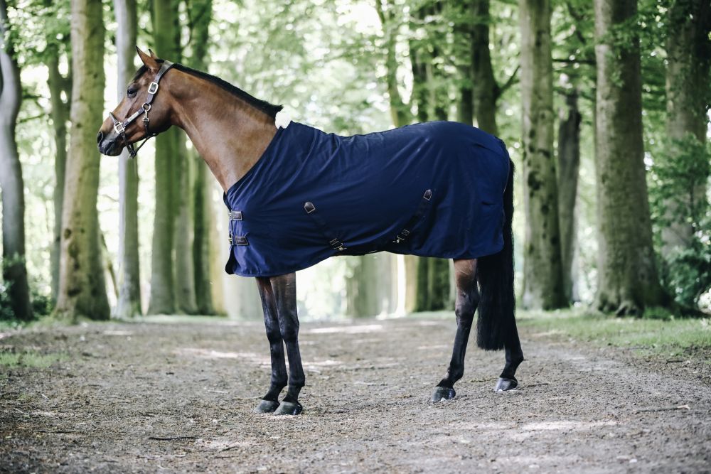KENTUCKY® HORSEWEAR Allrounddecke Cotton Sheet, marine