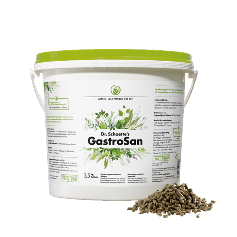 Dr. Schaette´s GastroSan® 