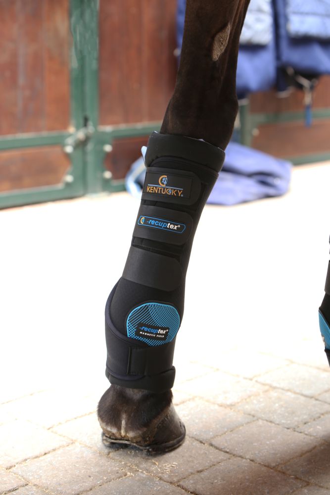KENTUCKY® HORSEWEAR Magnetic Recuptex Stallgamasche