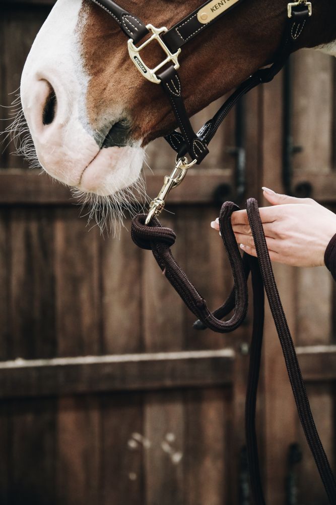 KENTUCKY® HORSEWEAR Führstrick, Karabiner, braun