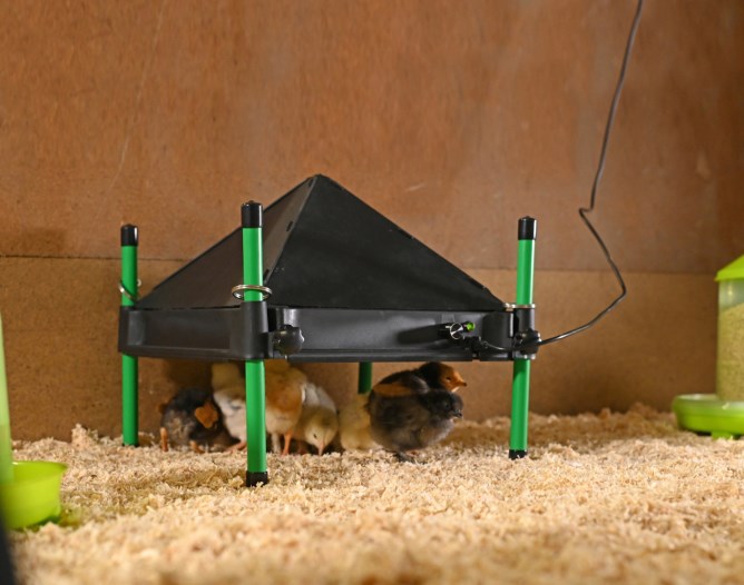 KERBL Abdeckung für Wärmeplatte 30x30 (passend für K-70420)
