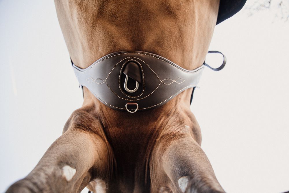 KENTUCKY® HORSEWEAR Gurt Anatomic, braun 