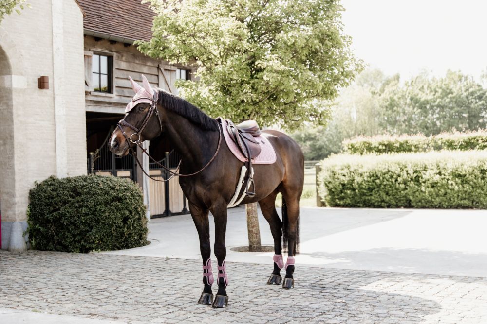 KENTUCKY® HORSEWEAR Streichkappe Young Horse, altrosa