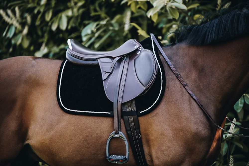 KENTUCKY® HORSEWEAR Schabracke Cord Springen, schwarz