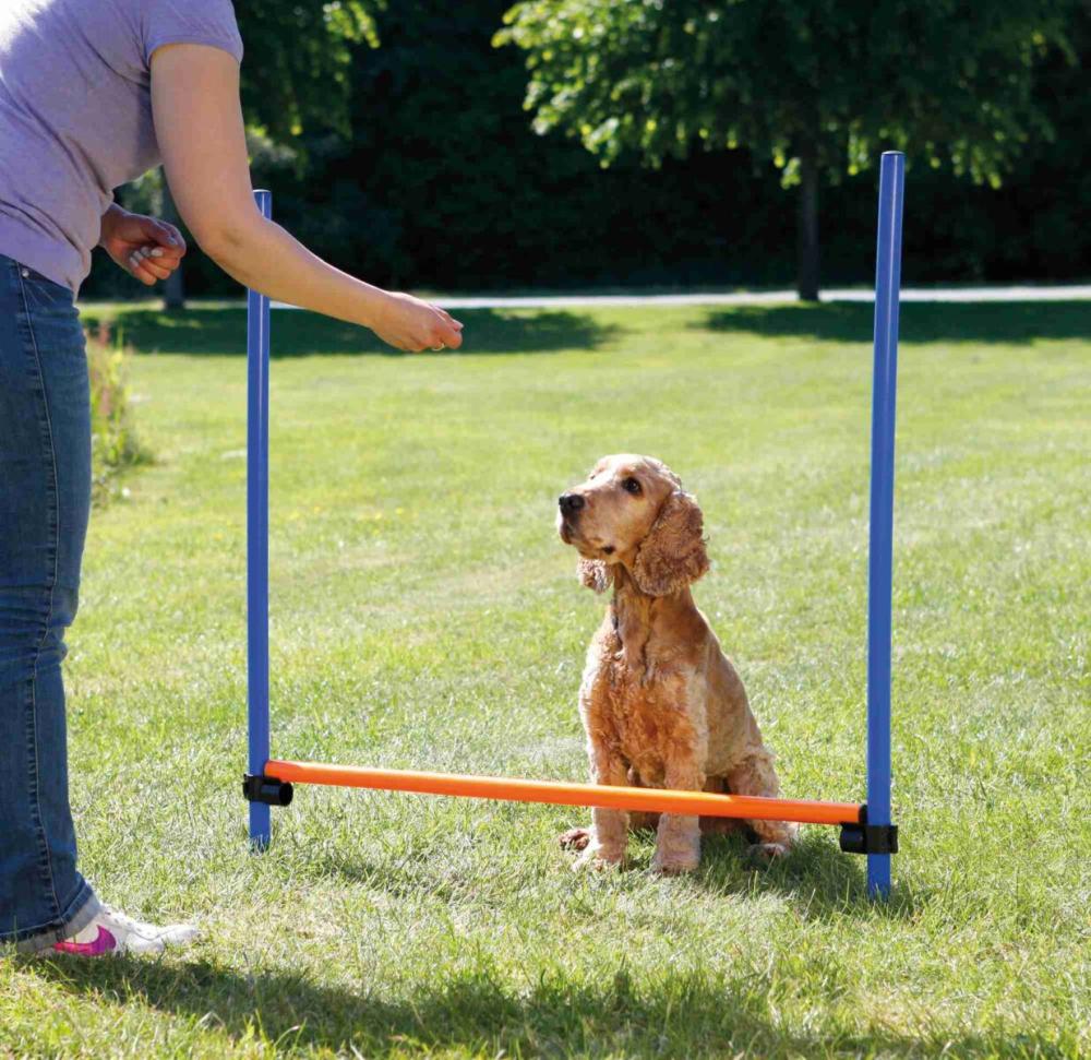TRIXIE Agility Hürde Set, orange/blau