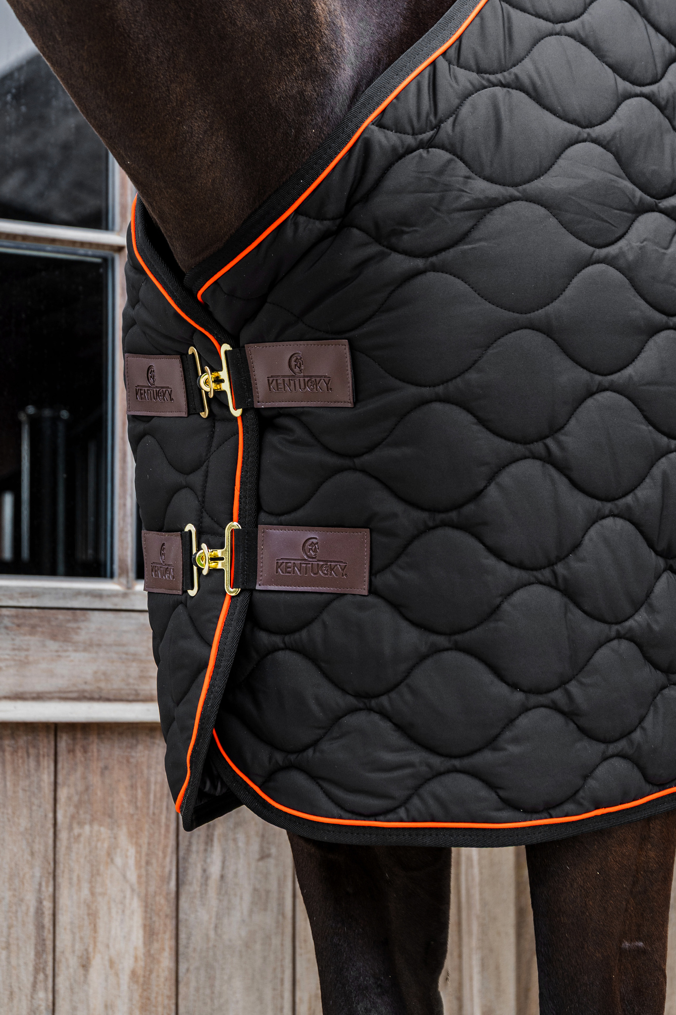 KENTUCKY® HORSEWEAR Stalldecke Wave 160g, schwarz Schwarze Stalldecke Wave mit Wellensteppung, orangefarbener Biese und zwei goldenen Brustverschlüssen am Pferd.