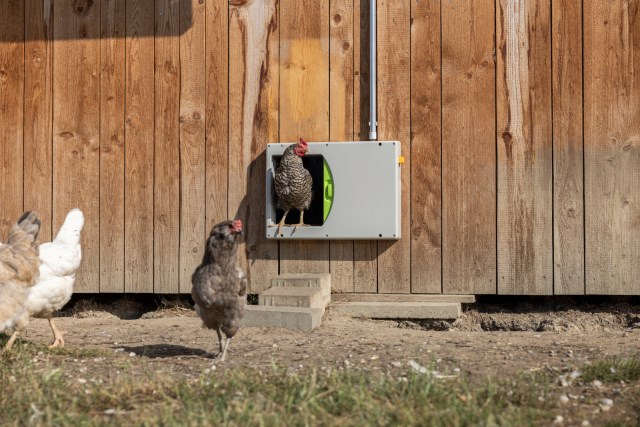 KERBL SmartCoop Hühnerklappe