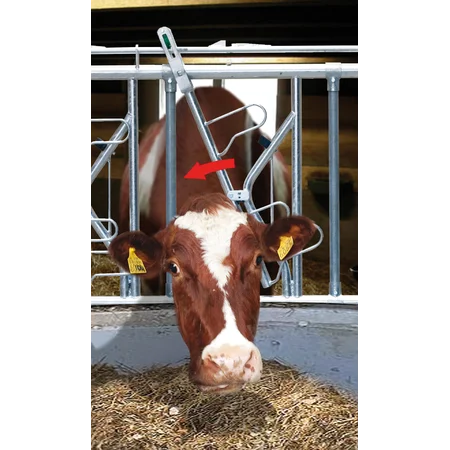 PATURA Sicherheits-Selbstfangfressgitter Typ SSV PATURA Sicherheits-Selbstfangfressgitter SSV mit Untenauslass, gezeigt an einer fressenden Kuh im Stall.