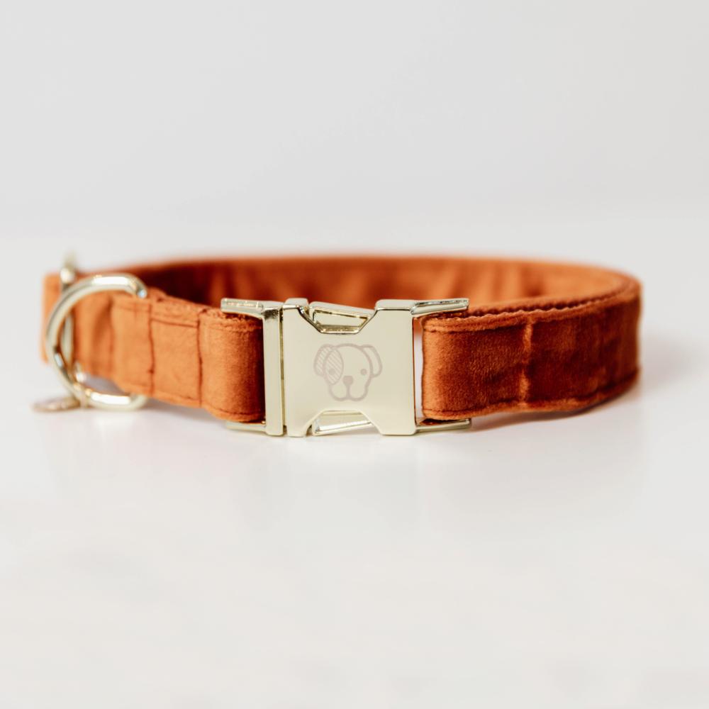 KENTUCKY® DOGWEAR Hundehalsband Samt, orange