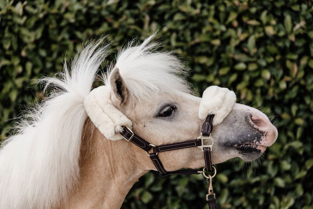 KENTUCKY® HORSEWEAR Pony-Lederhalfter mit Schaffell