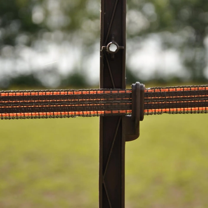 GALLAGHER TurboLine-Breitband 20 mm, terra (200 m)