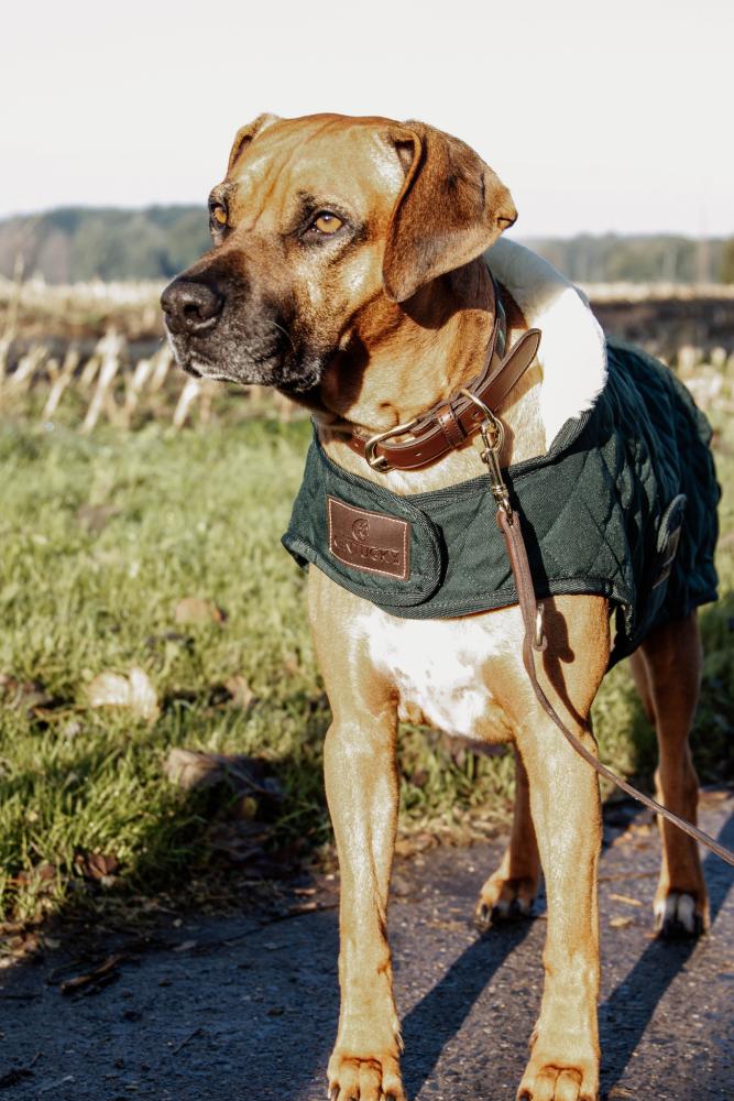 KENTUCKY® DOGWEAR Hundemantel Original 160 g, dunkelgrün