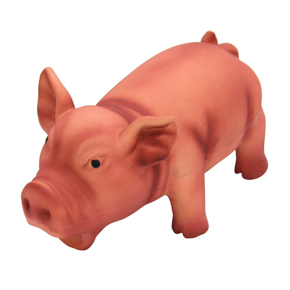 Schwein