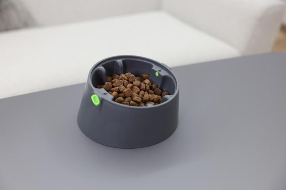 KERBL Multifeeder Basis für Hunde und Katzen