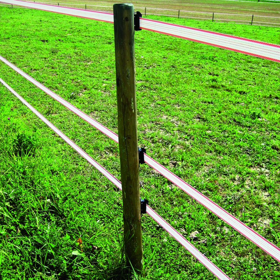 Gallagher TurboLine-Breitband 40 mm (weiß, 200 Meter)