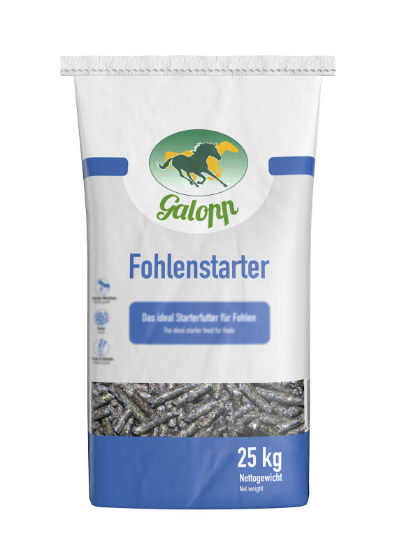 GALOPP Fohlenstarter