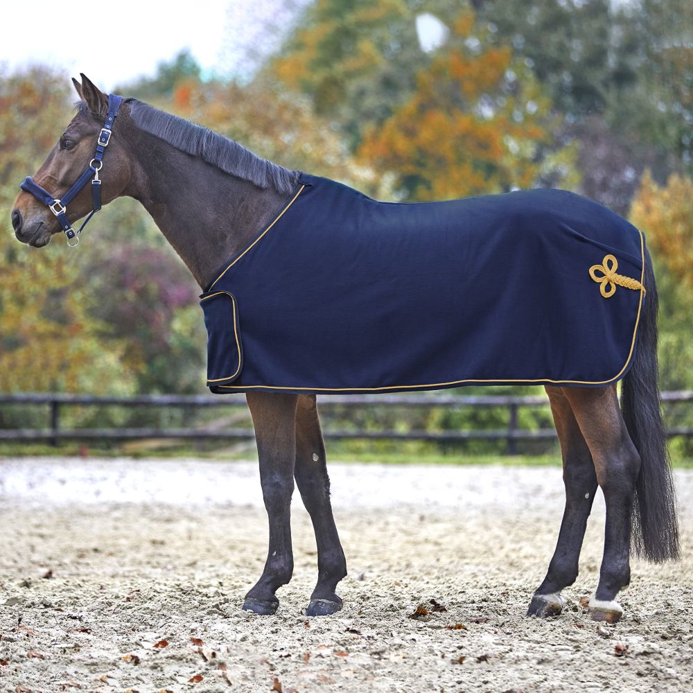 WALDHAUSEN Fleece- & Sponsorendecke, blau/gold