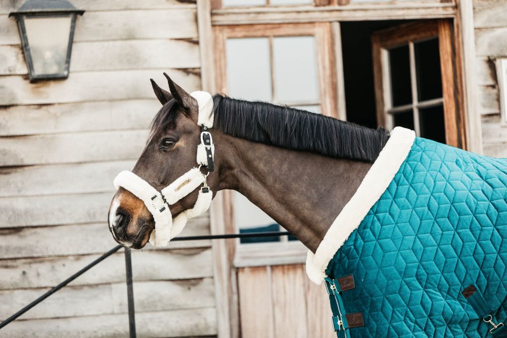 KENTUCKY® HORSEWEAR Turnierdecke Velvet, smaragdgrün